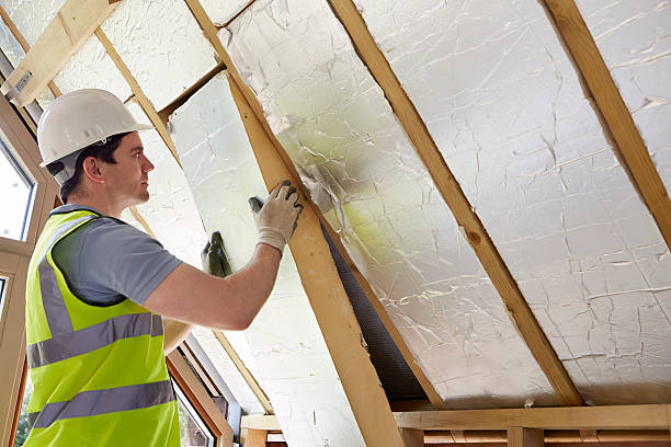 Best DIY Insulation Kits and Guidance in Chaska, MN